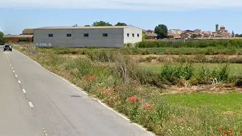 Camí de Golmés a Mollerussa