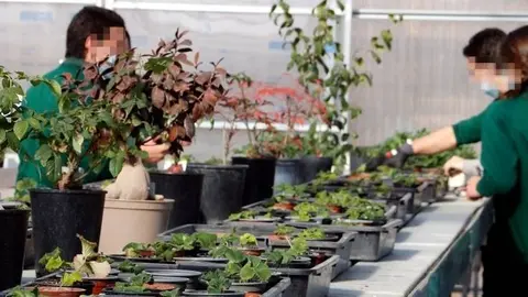 Taller de jardineria El Segre