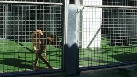 Centre d'Acollida d'Animals de Companyia del Segrià