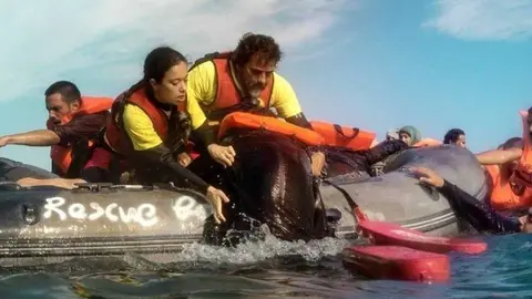 Pel·lícula 'Mediterràneo'