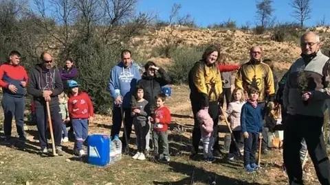 Plantació de savines a Maials. Fotografia: Ajuntament de Maials.