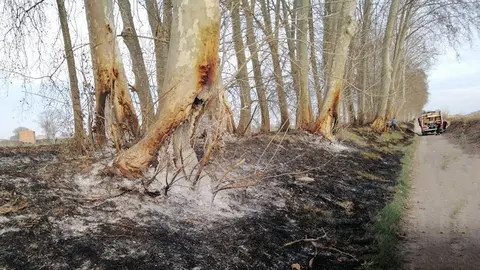 Una dotació de Bombers extingint el foc a Bellvís ©CanalViu