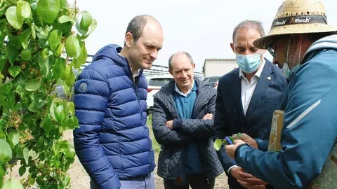 El subdelegat del govern espanyol a Lleida, José Crespín, visita una finca de fruita de Tornabous, amb responsables i tècnics d'Agroseguro ©SubdelegaciógovernespanyolLleida