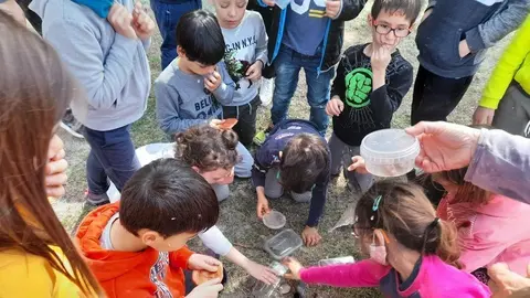 Un dels tallers per a petits naturalistes que s'ha celebrat aquests dies a La Mitjana ©AjLleida