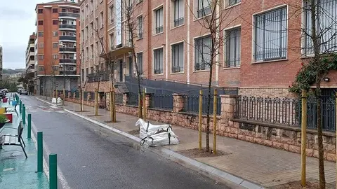 Plantació de Fraxinus i Celtis occidentalis davant del Col·legi Episcopal ©Paeria