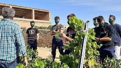 Alumnes fen pràctiques en l'EA de Gandesa ©Agricultura