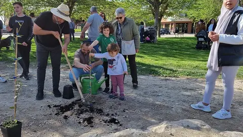 Plantada d'arbres a Mollerussa ©AjMollerussa