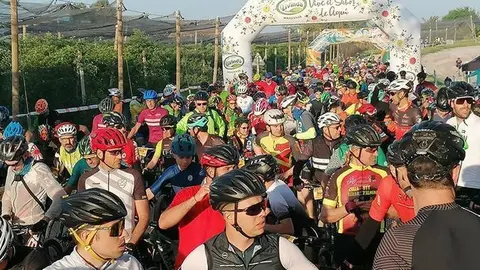 La sortida de la CatiGat a Vila-sana amb 900 participants ©Iter5