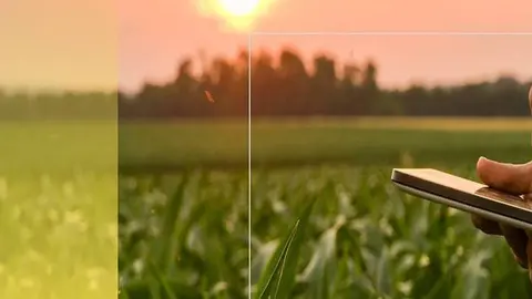 VEGGA la plataforma digital 360°