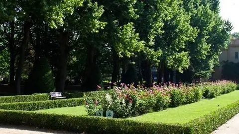 Camps Elisis de Lleida