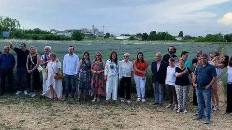 Floració de la Lavanda 2022 a Cal Rosselló ©CalRosselló