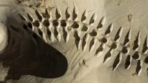 Cartell de la segona edició del festival 'Maldejant la pedra'