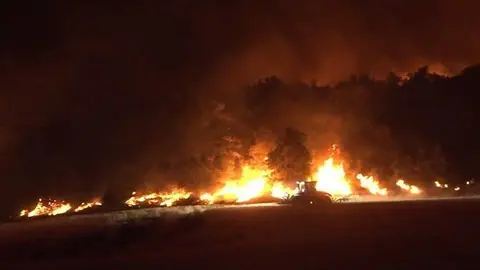 Incendi de Baldomar a Artesa de Segre ©Bombers (3)