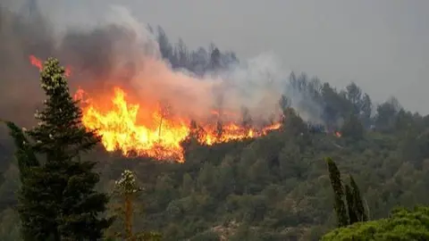 Arxiu, incendi Baldomar ©Bombers