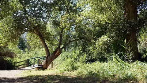 Refugi climàtic del Parc de la Mitjana. ©Cristina Mongay.