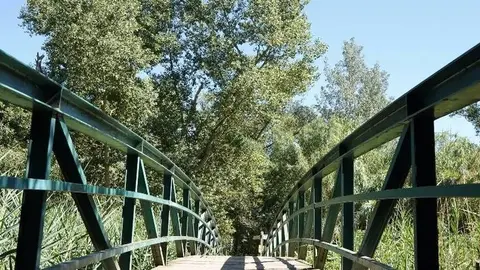 Refugi climàtic del Parc de la Mitjana. Fotografia: Cristina Mongay.