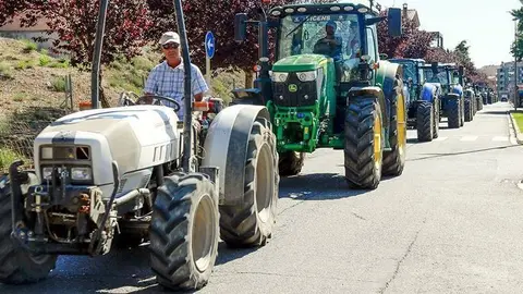 Mobilitzacions contra la plaga de conills a l'Urgell ©SalvadorMiret