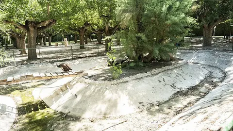 Parc Municipal de Mollerussa 1