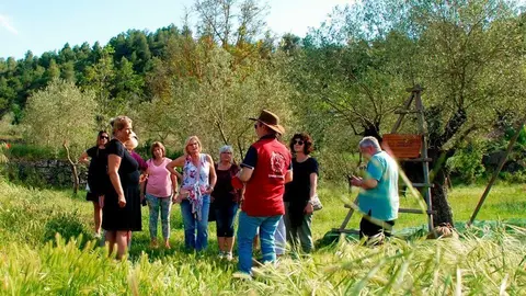 Visites d'oleoturisme ©Cometes