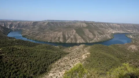 Part de la zona forestal del municipi d'Almatret que limita amb el riu Ebre ©Salvador Miret