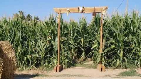 Entrada al Laberint Pifarré. Fotografia: Cristina Mongay.