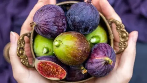 La Figa, la reina de la Fira d'Alguaire. Fotografia: Freepik.