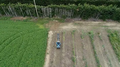 Projecte Agricultura 4.0 en el centres de FP ©INSMollerussa