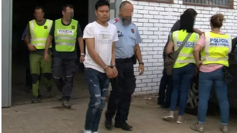 Desmantellen una plantació de marihuana en una nau de Gualda ©LauraCortés