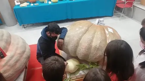 El regidor Sergi Balcells mostra les carabases al alumnes de l'escola El Timó ©Territoriscat 2