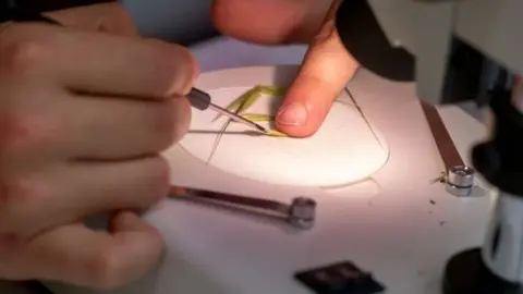 La recerca científica a la UdL. Fotografia: Jordi V. Pou.