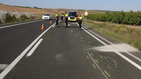 Moren tres motoristes en un xoc frontal entre dues motos i un cotxe a Alfés ©SalvadorMiret
