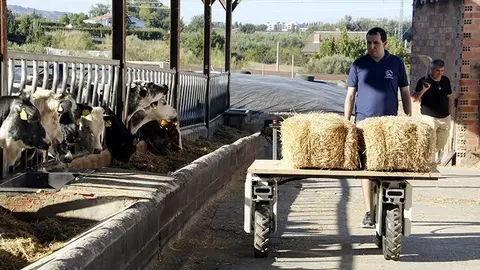 El tractor elèctric Amiga en tasques agrícoles ©OriolBosch