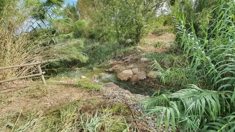 Pantà de l'Arròs d'Alcarràs. Fotografia: Ajuntament d'Alcarràs.