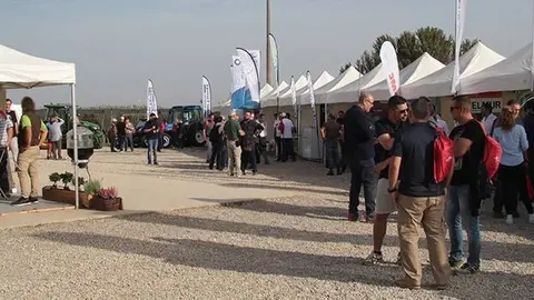 Zona expositiva de la Jornada fructícola de l'IRTA ©AriadnaPérez