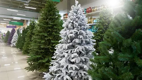 Sale of many artificial Christmas trees in green, purple and white at a decor store