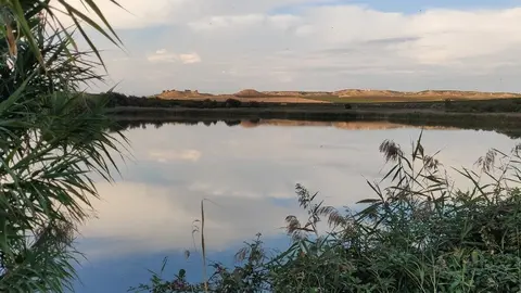 Finalitzades les obres de millora del pantà de l'Arròs d'Alcarràs ©AjAlcarràs