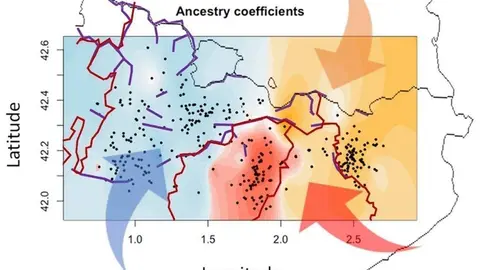 El mapa de l'estudi GENPIR, on es pot veure com l’orografia (línies morades), els límits dels bisbats (línies vermelles) i els fluxos migratoris històrics (fletxes) han modelat el perfil genètic de les poblacions rurals del Pirineu Català (zones en color) - Imatge: Cedida per l'IRB Llleida