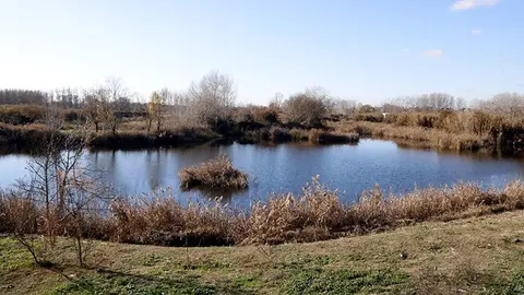 La bassa als aiguamolls de Rufea ©LauraCortés