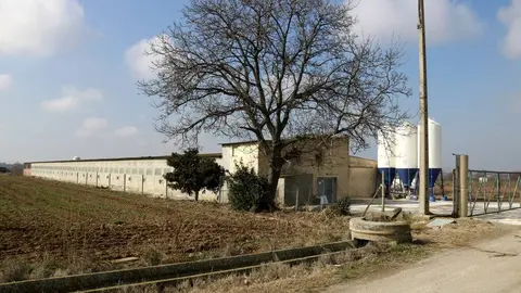 Granja d'Arbeca on s'ha detectat un brot de grip aviària ©Anna Berga