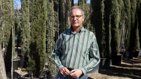 El president de la Federació de Viveristes de Catalunya i propietari d'una explotació a Castellserà, David Borda ©Anna Berga