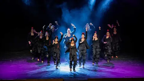 flamenc monica novillo