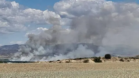 Incendi de vegetació de ribera a Almenar

Data de publicació: dilluns 01 de maig del 2023, 15:14

Localització: Almenar

Autor: Cedida pels Bombers