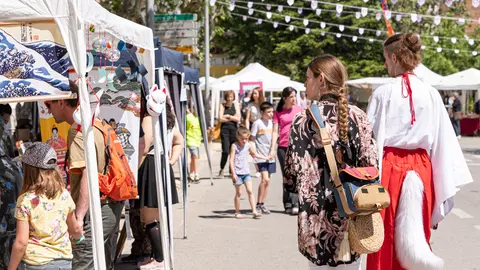 El Festival Matsuri d'Ivars d'Urgell - Foto: JordiVinuesa