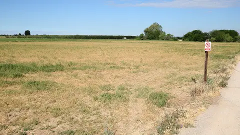 Camp d'alfals totalment sec per les restriccions de reg del canal principal d'Urgell

Data de publicació: dissabte 13 de maig del 2023, 07:00

Localització: Bell-lloc d'Urgell

Autor: Ignasi Gómez