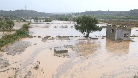 Una zona amb cultius de cereal i oliveres negada per l'aigua a l'accés a Torrebesses

Data de publicació: diumenge 11 de juny del 2023, 19:32

Localització: Torrebesses

Autor: Ignasi Gómez