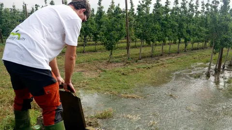 Un pagès obrint la pala de reg en una finca de peres de Puiggròs - Foto: Oriol Bosch