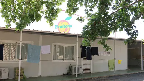 Els allotjaments per a temporers amb part de la cooperativa Fruitona al fons

Data de publicació: diumenge 18 de juny del 2023, 07:00

Localització: Aitona

Autor: Ignasi Gómez