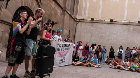 Manifestació per l'alliberament sexual i de gènere a Lleida - Foto: Jordi Vinuesa