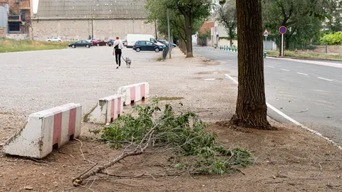 Els bombers han rebut 40 avisos com a consequüència del temporal, la majoria per branques o arbres caiguts - Foto: Jordi Vinuesa