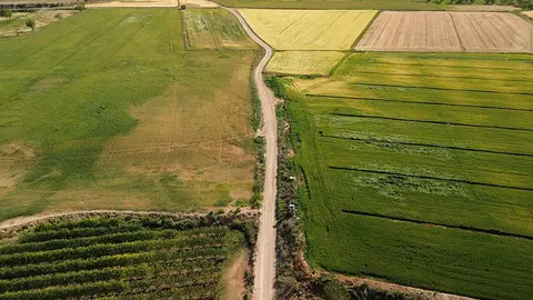 Comparativa camps (Albert Carrera)